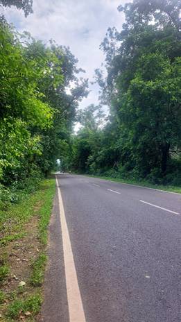Lush green to Pangot